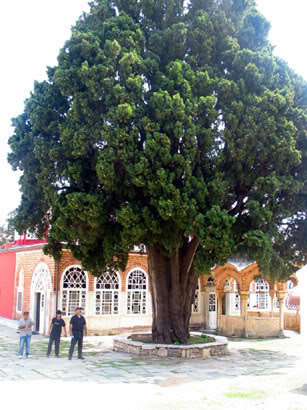 Εικόνα